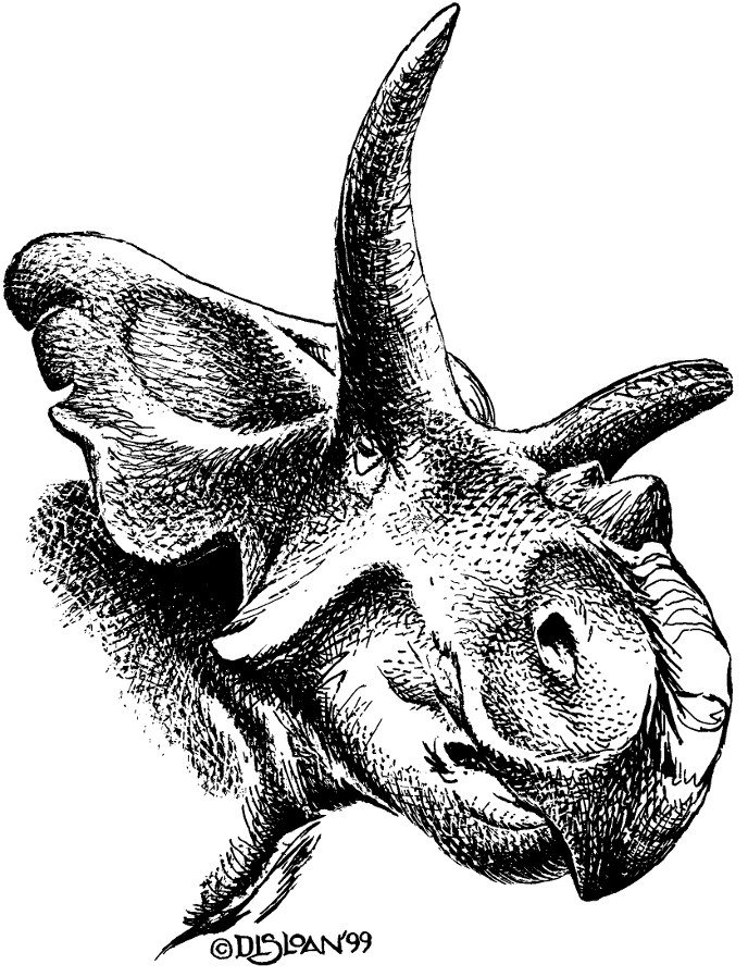 Medusaceratops