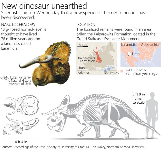 Nasutoceratops