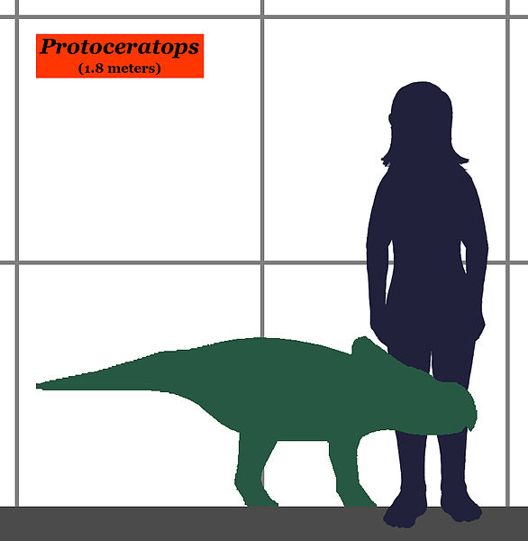 Protoceratops