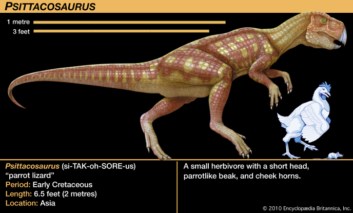 Пситтакозавр