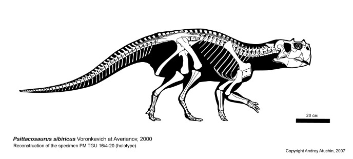 Пситтакозавр