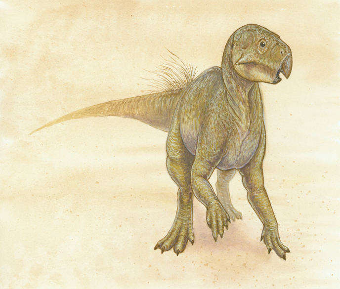 Psittacosaurus