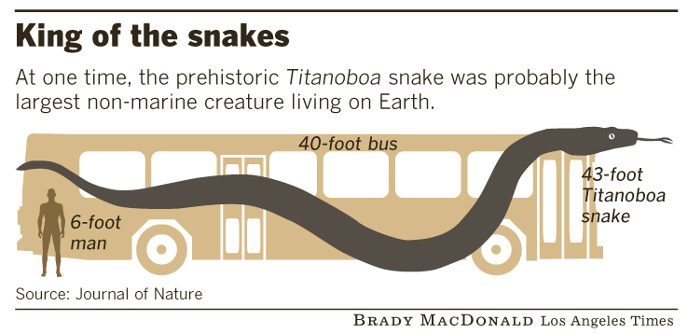 Titanoboa