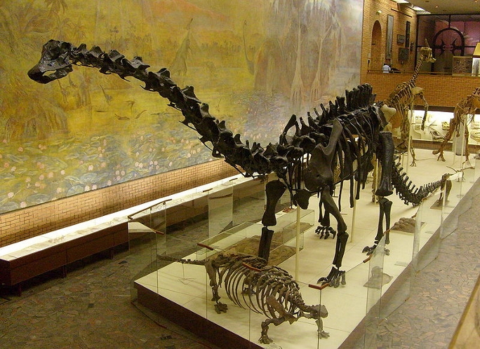 Diplodocus