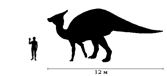 Saurolophus