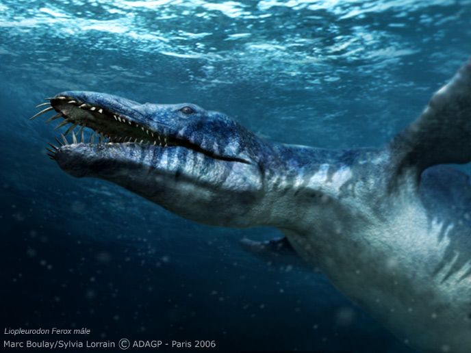 Liopleurodon