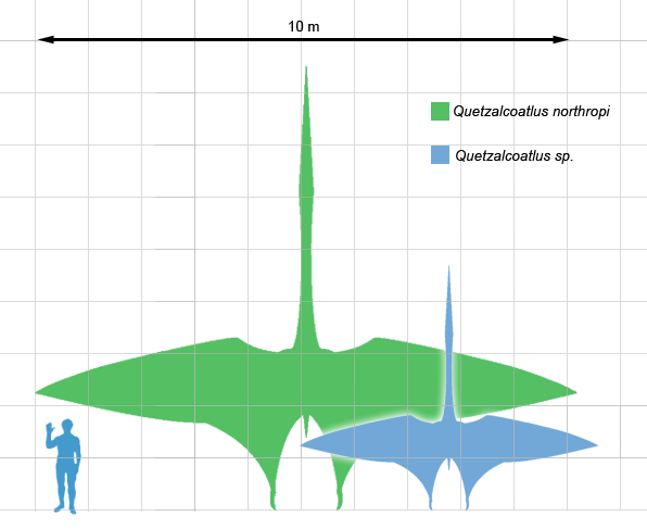 Quetzalcoatlus