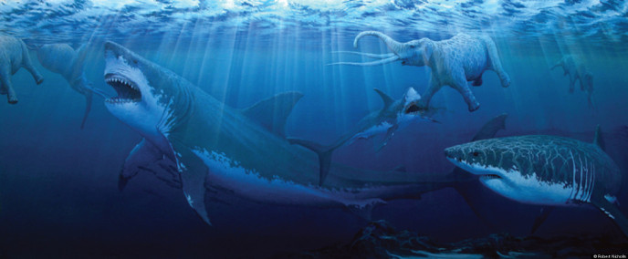 Megalodon