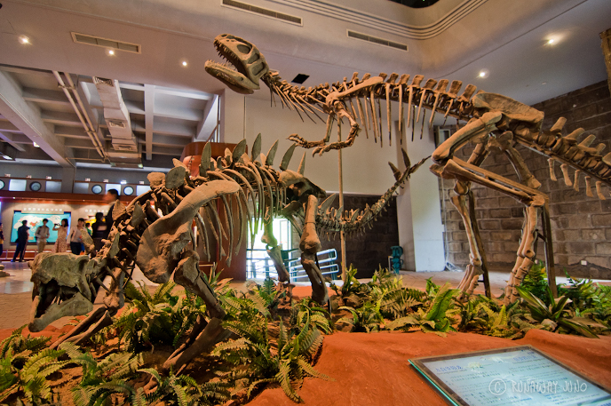 Хуаянозавр и янхуанозавр