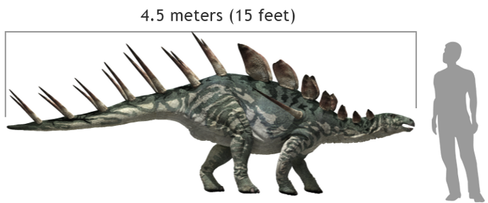 Kentrosaurus