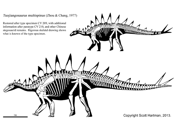 Тоцзянозавр