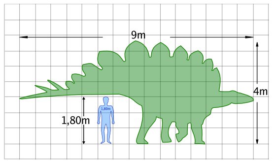 Stegosaurus