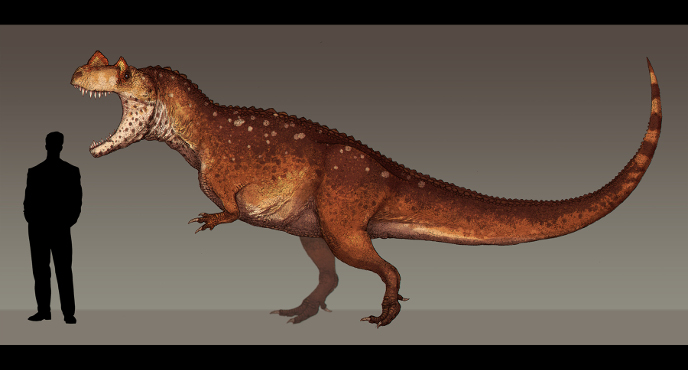 Ceratosaurus