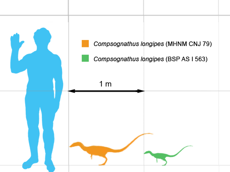 Compsognathus