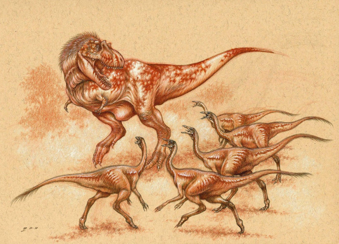 Орнитомимы и альбертозавр
