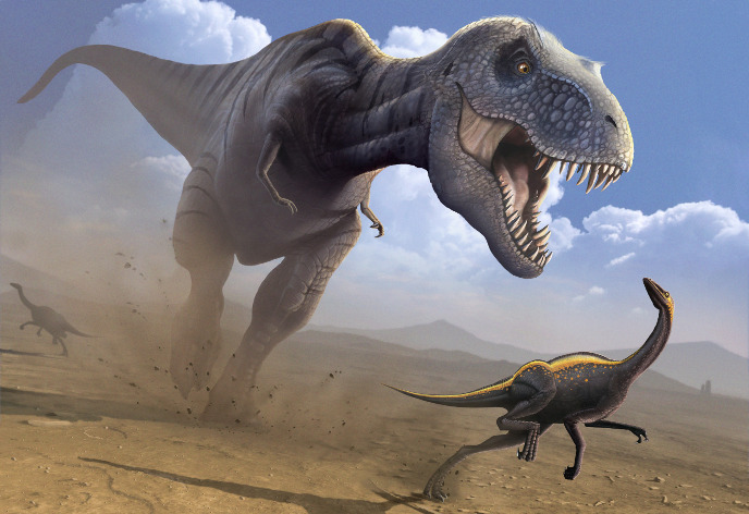 Орнитомим и тираннозавр