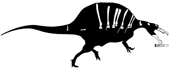 Реконструкция спинозавра