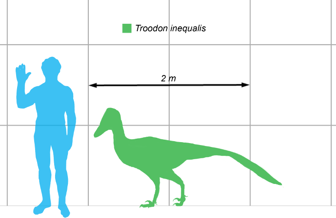 Troodon