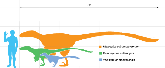 Utahraptor