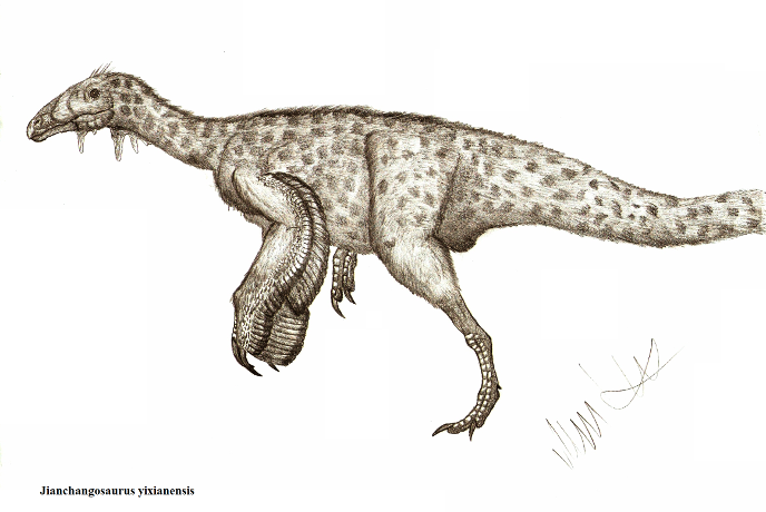 Jianchangosaurus yixianensis