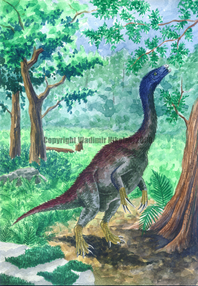 Nothronychus mckinleyi