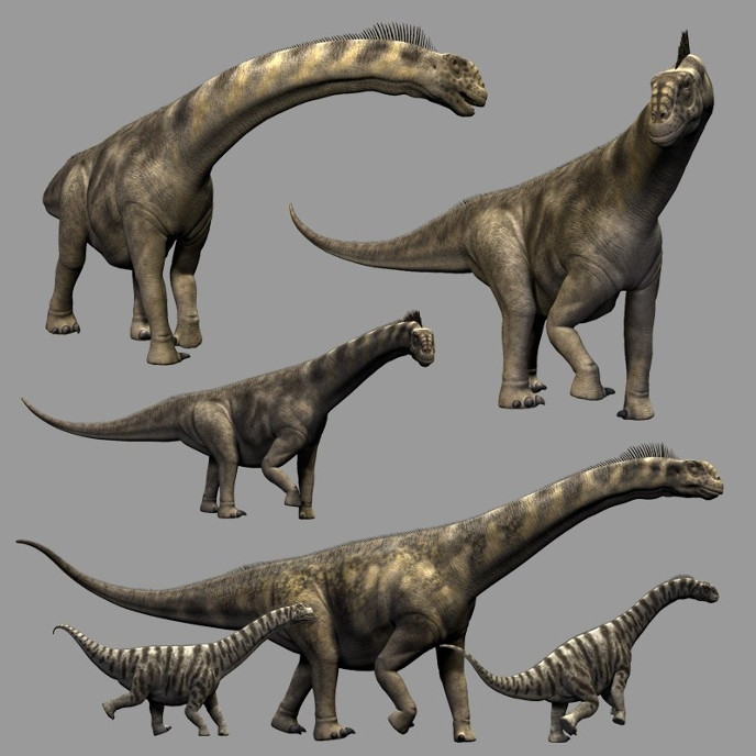 Camarasaurus