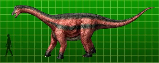 Opisthocoelicaudia