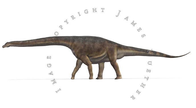 Patagotitan mayorum