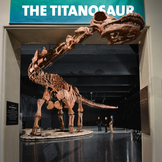 Patagotitan