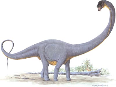 Supersaurus