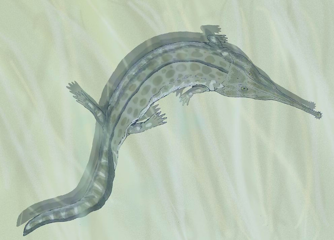 Prionosuchus